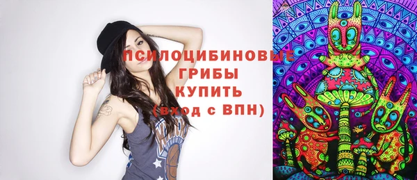 PSILOCYBIN Алексин