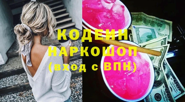 индика Россошь