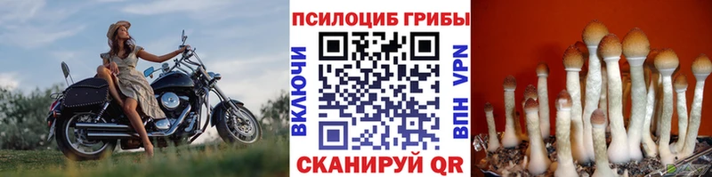 Псилоцибиновые грибы ЛСД  площадка как зайти  Зверево 